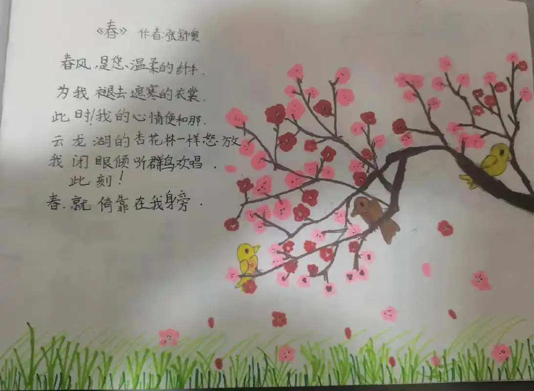 四年级自创诗歌配画 #现代诗 - 抖音