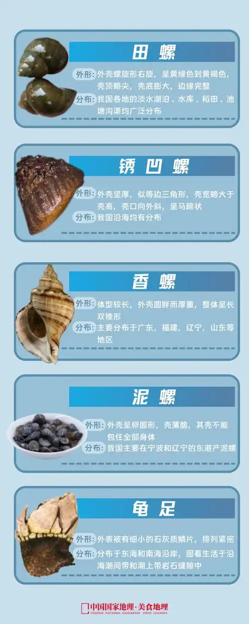 火速收藏!这里有一份中国吃螺图鉴