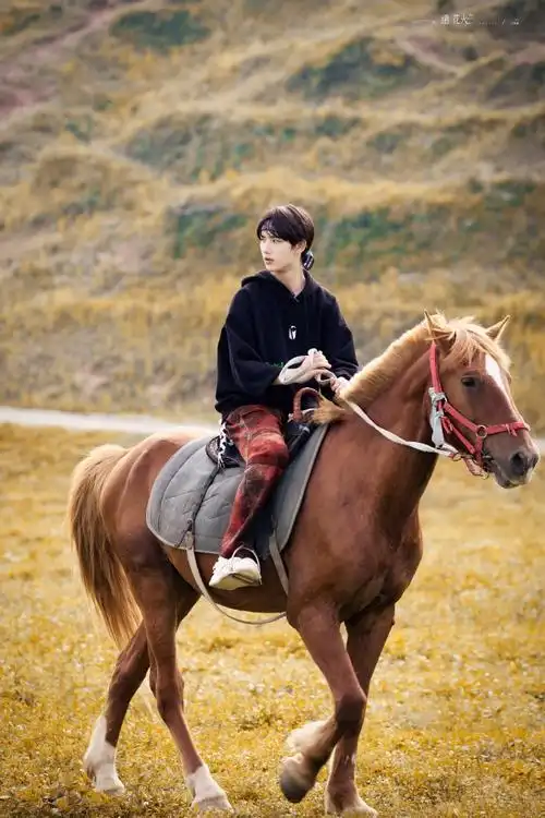 丁程鑫 花儿与少年