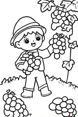 🍇摘葡萄的简笔画🎨