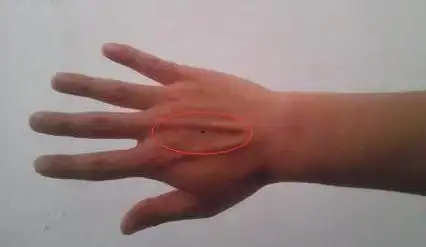 一泓师傅男人手上的痣都代表什么