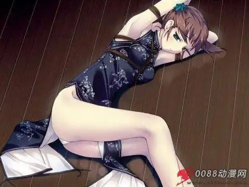 求这种类型,.留下百度云