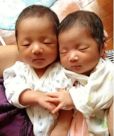 谢娜晒宝贝萌照无意让我们发现孩子的兴趣跟爸爸这么像么