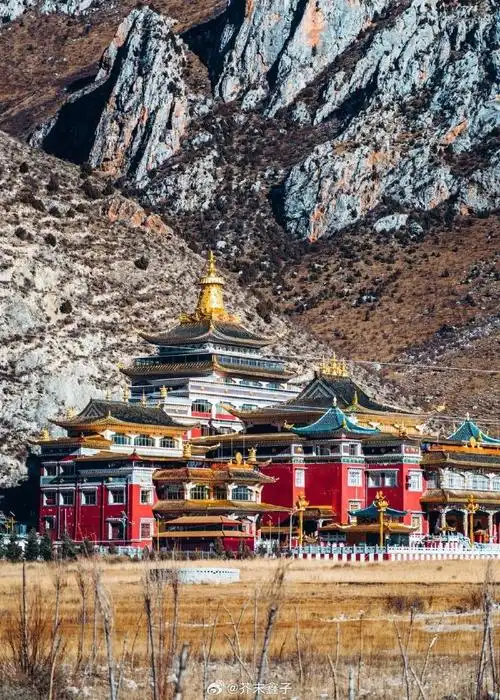 99这里是全国唯一一个门票全免的城市,"玉树"这个名字是藏文译音