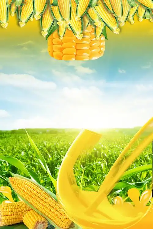 玉米田玉米汁冷热饮甜品店海报背景素材