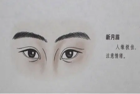 面相学堂:22种眉毛看你的命运如何