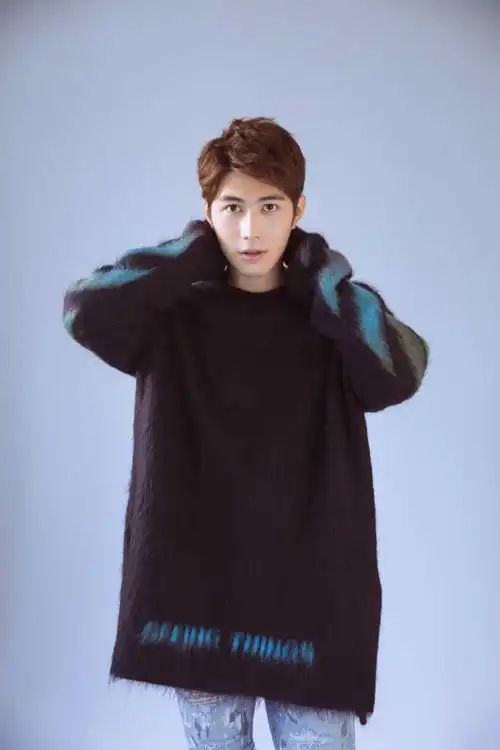 陈学冬深秋毛衣帅气最新写真图片