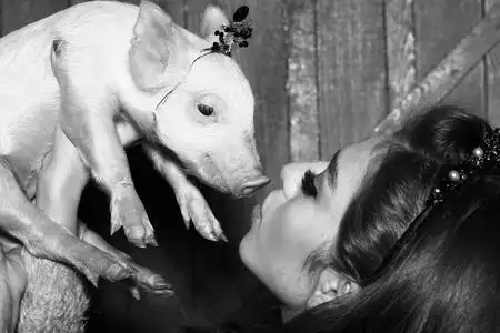 和猪在一起的女人照片