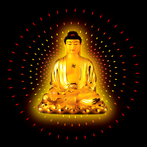 500_500gif 动态图 动图