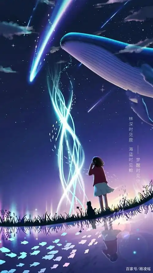 鲸落——鲸落于海,星辰于洼