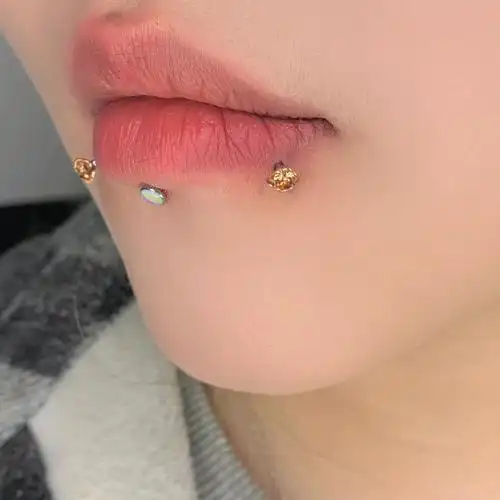 唇钉可以打几个