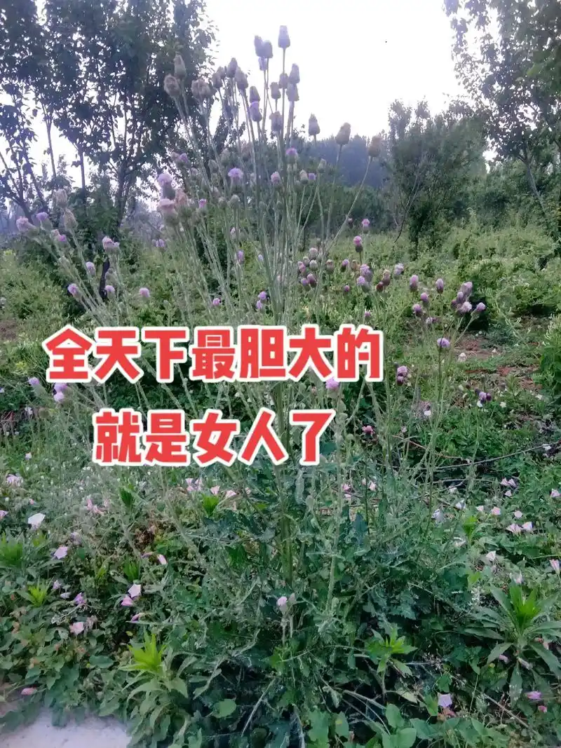 全天下胆子最大就是女人,干了两件匪夷所思的事,不了解男人为何 - 抖