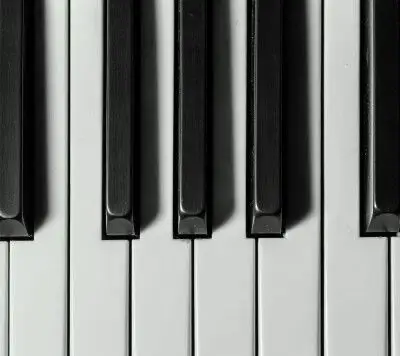 钢琴黑键