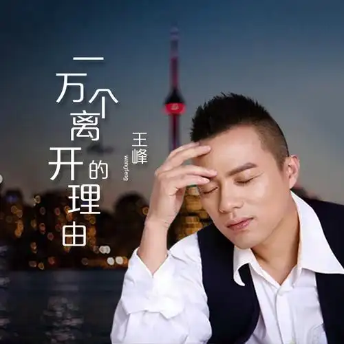 王峰一万个离开的理由