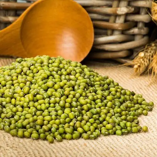 5斤绿豆东北农家2019自产新鲜小绿豆发豆芽糕点粥汤材料五谷杂粮