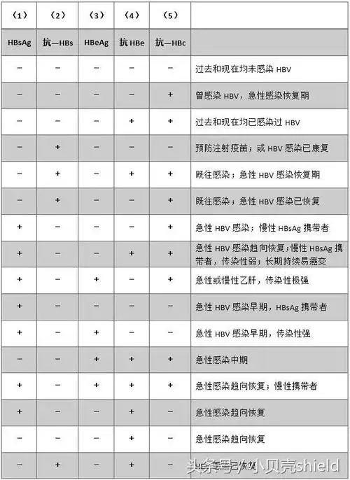 乙肝二对半检测报告的超全解读8分钟学会速度学起