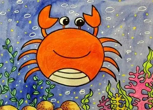 儿童海洋世界获奖图画