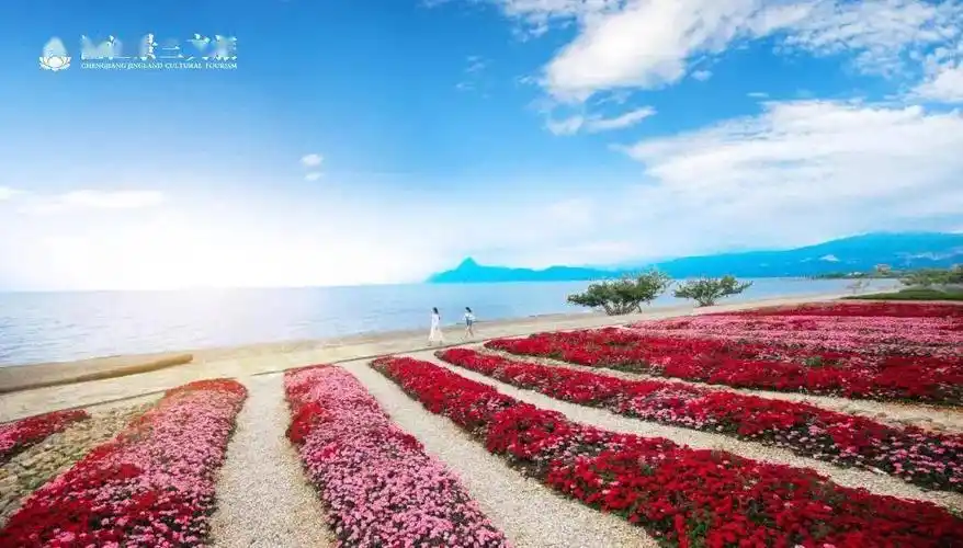 不负春光的馥郁烂漫,明晚,到澄江广龙小镇来一场燃烧的民族狂欢_花海