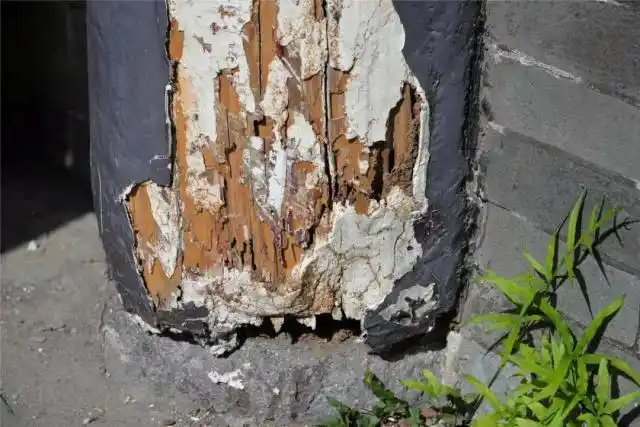 清代植物学家吴其浚故居被白蚁啃食无人管?检察建议来保护!