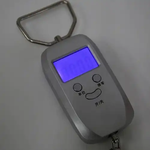 便携式迷你快递称弹簧秤50kg防水电子秤智能手提电子秤吊钩秤批发