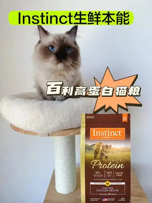 百利高蛋白猫粮