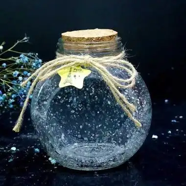 星空瓶许愿可爱瓶子1314大号夜光沙瓶星星瓶挂饰礼盒装饰品玻璃装