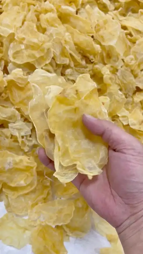 越南蜘蛛胶,平均一斤90头,货源十足干,货源清水腊色,蜘蛛胶主要功效