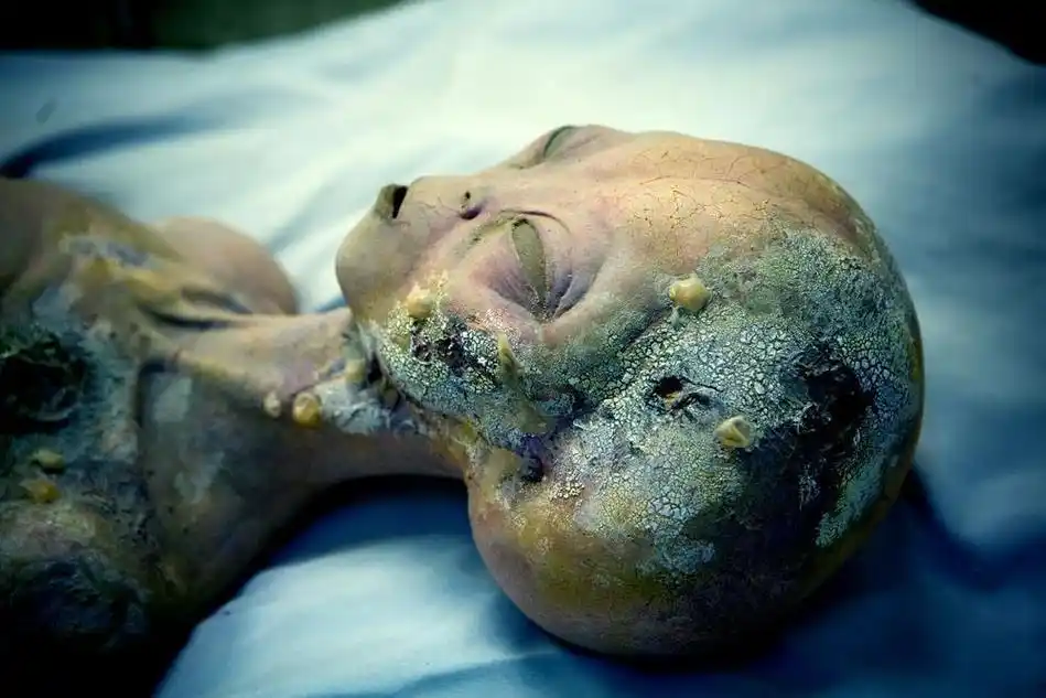 原创世界未解之谜:那些外星人的照片很奇葩!