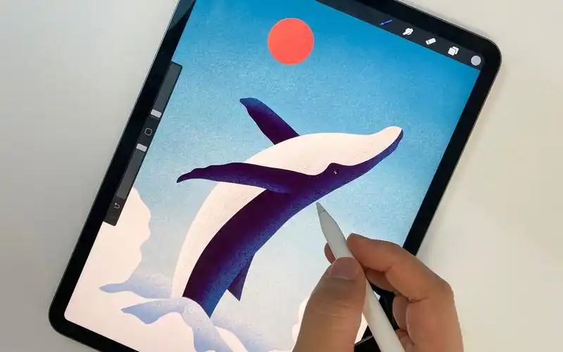 【ipad绘画】我是一只化身孤岛的鲸,也有飞鸟在背上停|procreate教程