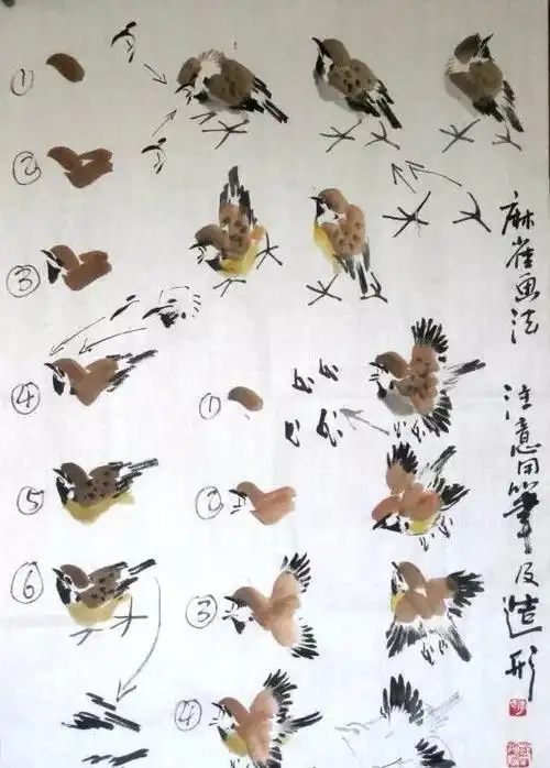 麻雀的画法一学就会