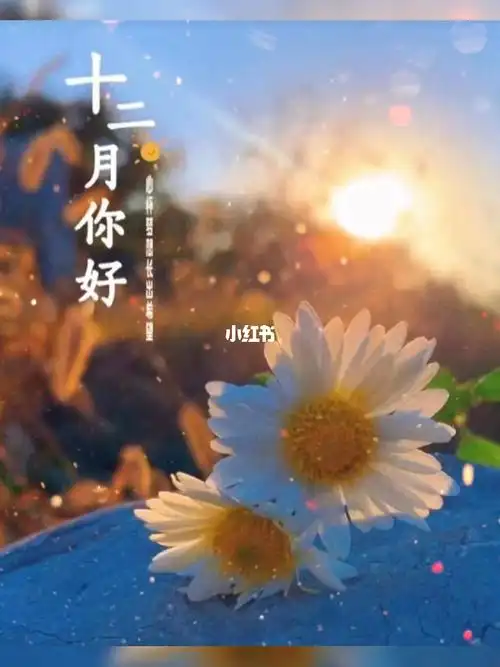 11月再见12月您好 "2021年最后一个月,愿你与温暖相拥,遇见的都是美好