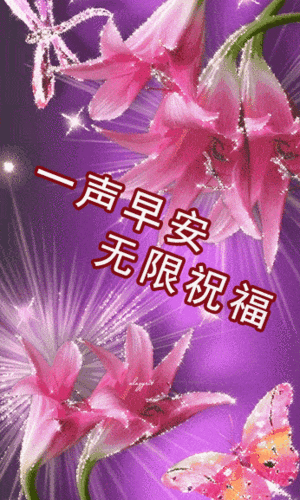 346_577竖版 竖屏gif 动态图 动图