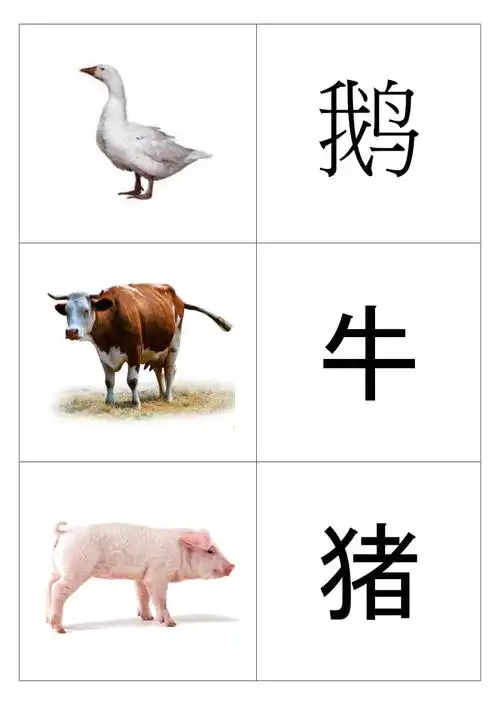 宝宝新版幼儿识字卡片配图大全