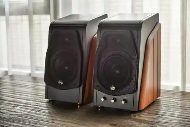 惠威作为音响领域的知名品牌,一直以来以其出色的音质和经典的设计