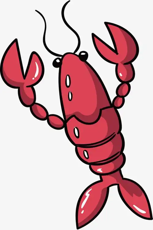 手绘龙虾手绘红色小龙虾