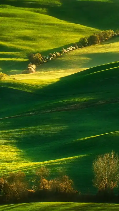 华为mate50壁纸原图下载插图9