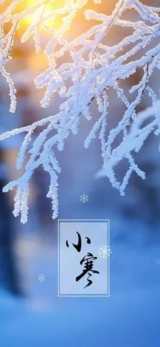 二十四节气小寒