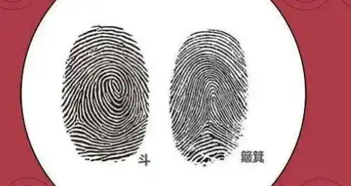 女人十个簸箕是凤命是什么意思 女人十个簸箕是凤命吗-善吉网