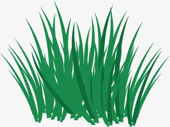 麦苗简笔画 麦苗简笔画彩色