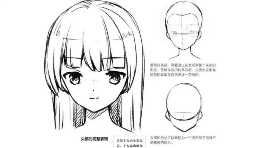 动漫人物头部怎么画?教你如何正确绘制头部的技巧!