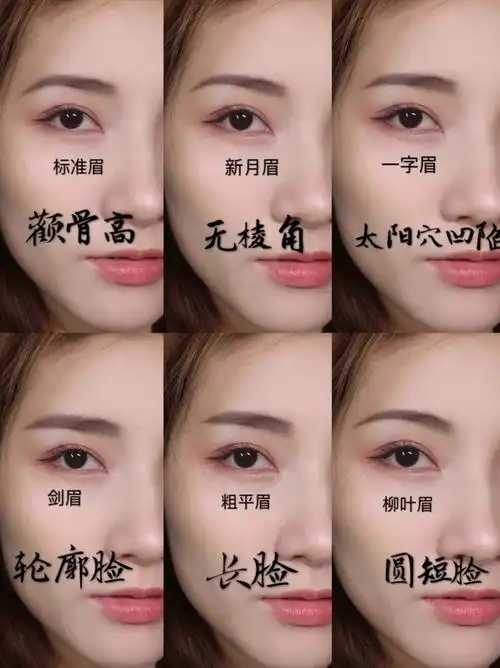 女人眉毛相连的面相_女人面相眉毛算命图解_眉毛过眼面相女人