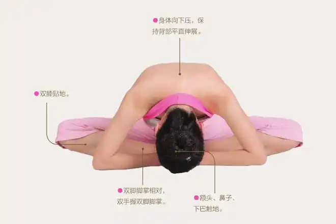 瑜伽体式-束角式