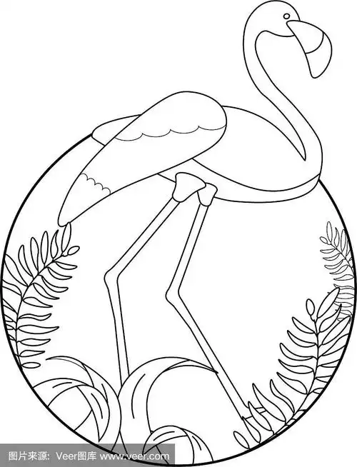 火烈鸟用丛林的树叶围成一圈.