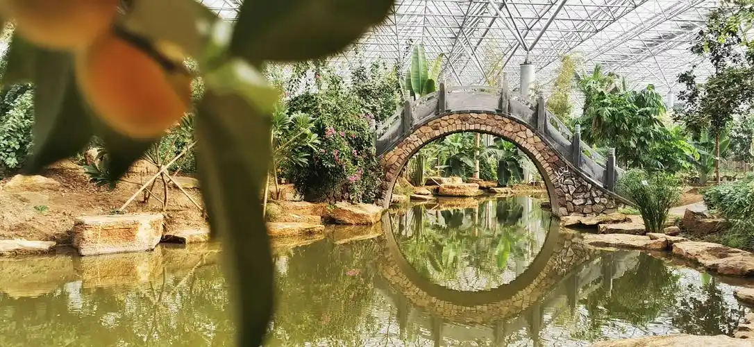 北方最大的热带植物园"九州伊甸园"