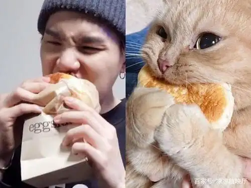 和小猫咪一模一样的闵玧其