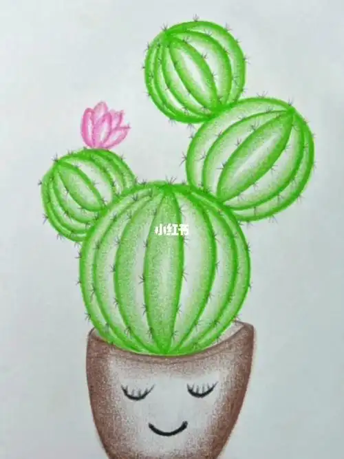 简简单单画仙人球