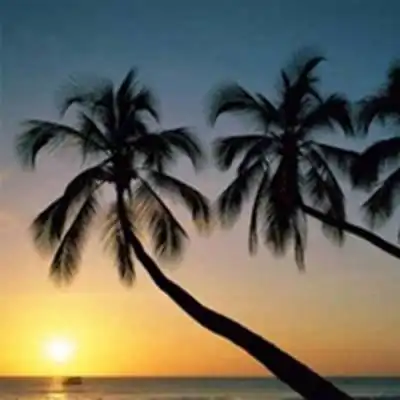 2020最新头像大全风景 - 女生头像风景图片 唯美自然风景图片 - 实验