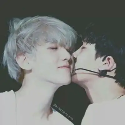 灿白 朴灿烈边伯贤头像 壁纸 图集 日韩 明星 exo