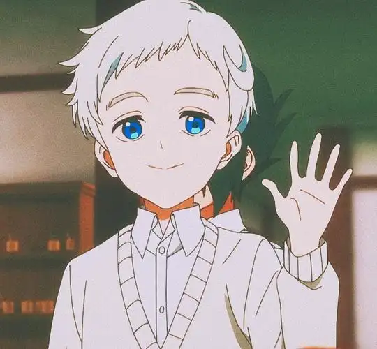 约定的梦幻岛/诺曼