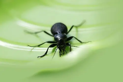 原图欣赏-太平洋摄影部落